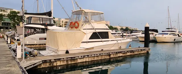 Yacht Interiors (199)